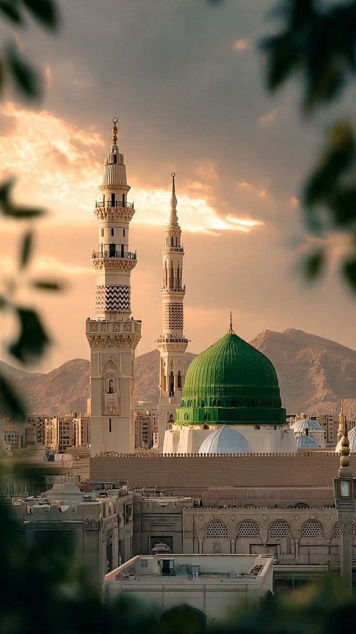المدينة المنورة